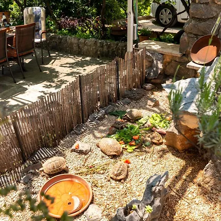 Anja With Garden, Balcony And Sea View, 3 Min Walk To The Trogir
