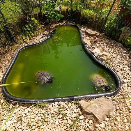 Anja With Garden, Balcony And Sea View, 3 Min Walk To The * تروغير