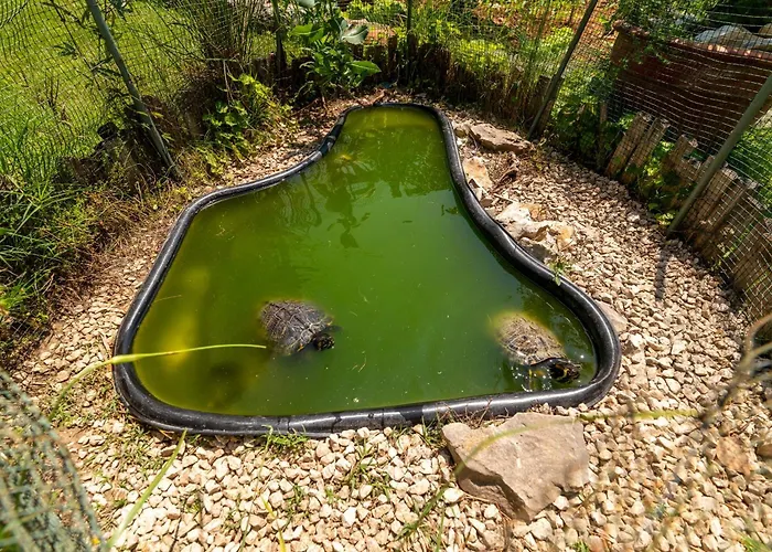Anja With Garden, Balcony And Sea View, 3 Min Walk To The * 特罗吉尔